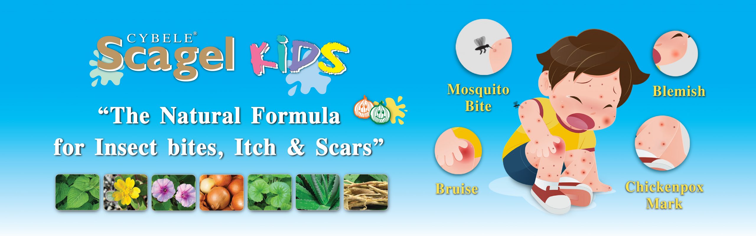 Banner Scagel Kids 1600x500px (Eng)